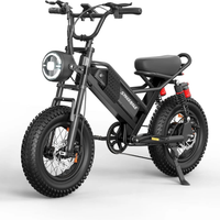 HKM-775379 Adult: 750W Motor, 20 MPH Top Speed, 48V System and 48V 15.0Ah Battery Electric Bicycle for Daily Commuting