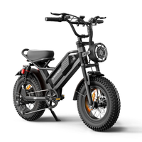 HKM-2479315 Adult Electric Bicycle Powered by 750W Motor, 20 MPH Top Speed, 48V System and 48V 15.0Ah Battery for Daily Commuting