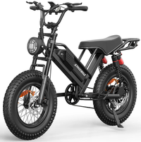 HKM-3658963 Electric Bike 250W Rear-Hub Motor 48V 16-Inch Fat Tires 6-Speed Mechanical Disc Brakes Carbon Steel Frame