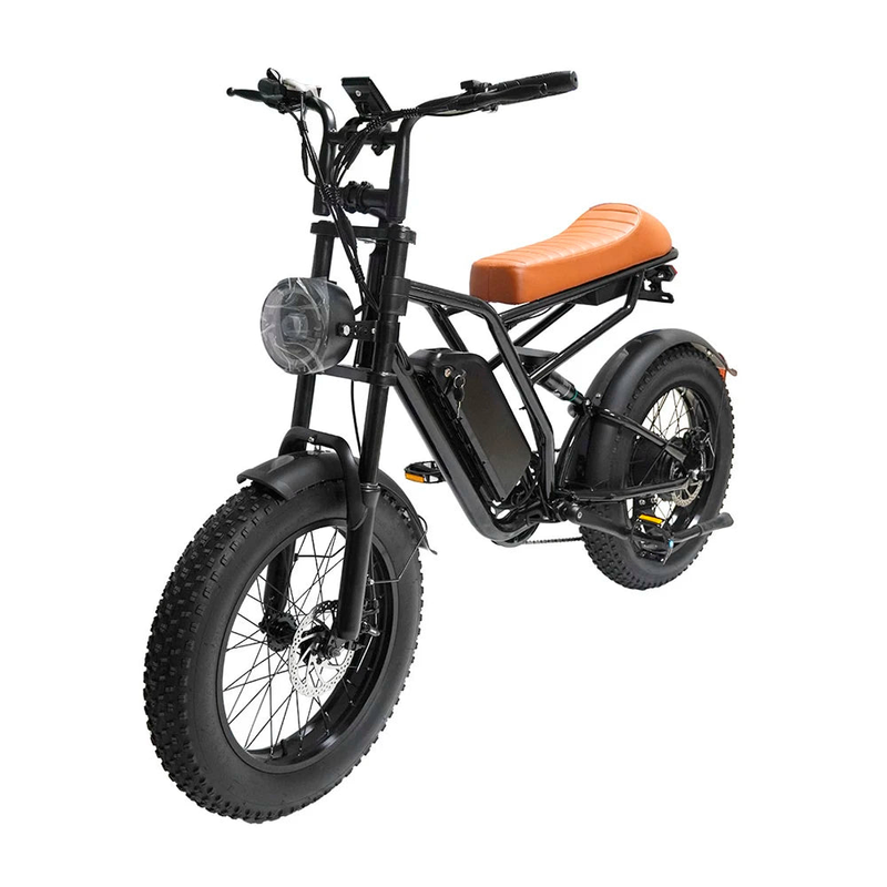 HKM-3921107 Adult: 750W Motor, 20 MPH Top Speed, 48V System and 48V 13.0Ah Battery Electric Bicycle for Daily Commuting