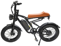HKM-3921107 Electric Bike 750W Motor 48V 13Ah Battery 37 Mile Range 20-Inch Fat Tires Dual Suspension 7-Speed Disc Brakes