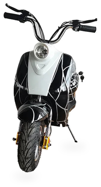 HKM-6404947 Studio Showcase 3