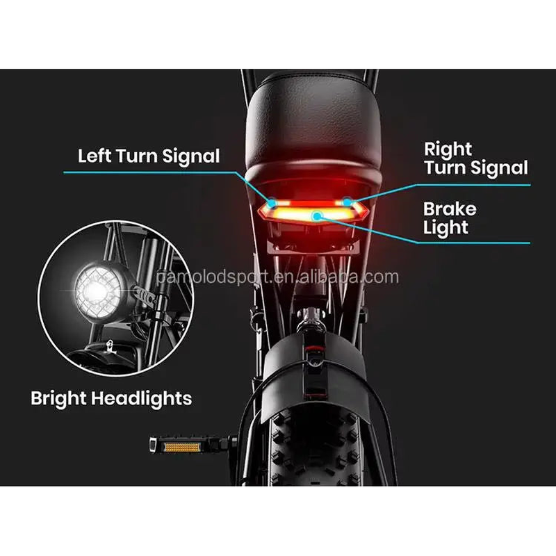 HKM-4052179 Adult Electric Bicycle Powered by 1000W Motor, 20 MPH Top Speed, 48V System and 48V 15.0Ah Battery for Daily Commuting