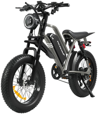 HKM-5297363 Electric Mountain Bike 1500W Motor 48V 20Ah Battery 37 Mile Range 20-Inch Fat Tires Full Suspension Shimano 7-Speed