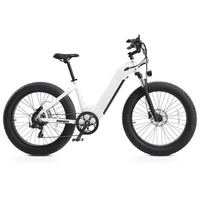 HKM-7516883 Step-Through Fat Tire Electric Bike, 250W Motor with 750W Peak, 48V 15Ah Battery, 26 x 4 in Tires, 7 Speed