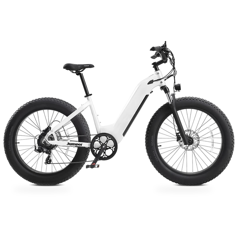 HKM-7516883 Step-Through Fat Tire Electric Bike, 250W Motor with 750W Peak, 48V 15Ah Battery, 26 x 4 in Tires, 7 Speed