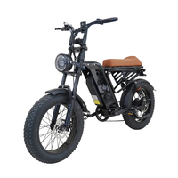 HKM-7558355 Adult: 750W Motor, 20 MPH Top Speed, 48V System and 48V 13.0Ah Battery Electric Bicycle for Daily Commuting