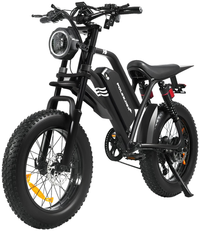 HKM-7567955 Electric Bike 1500W Motor 48V 20Ah Battery 37 Mile Range 20-Inch Fat Tires Full Suspension Shimano 7-Speed