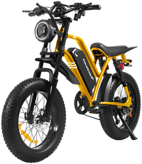 HKM-7567955 Electric Bike 1500W Motor 48V 20Ah Battery 37 Mile Range 20-Inch Fat Tires Full Suspension Shimano 7-Speed