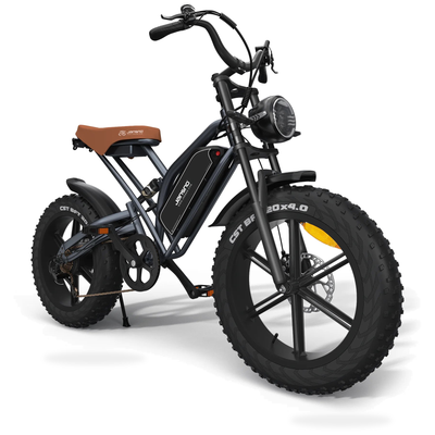 HKM-7680723 Off-Road Fat Tire Electric Bike with LCD Display, 750W Motor, 48V 17Ah Battery, 20 x 4 in Tires, 31 mi Range