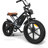 HKM-7680723 Off-Road Fat Tire Electric Bike with LCD Display, 750W Motor, 48V 17Ah Battery, 20 x 4 in Tires, 31 mi Range