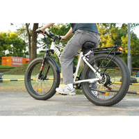 HKM-8010707 Adult Electric Bicycle Featuring 1000W Motor, 20 MPH Top Speed, 48V System and 48V 15.0Ah Battery for Daily Commuting