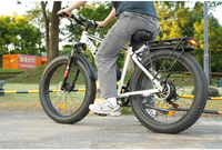 HKM-8010707 Adult Electric Bicycle Featuring 1000W Motor, 20 MPH Top Speed, 48V System and 48V 15.0Ah Battery for Daily Commuting