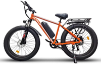 HKM-8010707 Adult Electric Bicycle Featuring 1000W Motor, 20 MPH Top Speed, 48V System and 48V 15.0Ah Battery for Daily Commuting