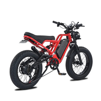 HKM-8148179 Adult: 500W Motor, 20 MPH Top Speed, 48V System and 48V 18.0Ah Battery Electric Bicycle for Daily Commuting