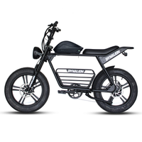 HKM-8448851 Adult Electric Bicycle Powered by 1000W Motor, 20 MPH Top Speed, 48V System and 48V 16.0Ah Battery for Daily Commuting