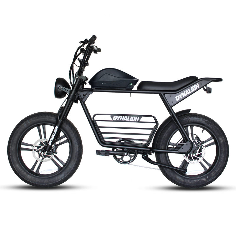 HKM-8448851 Adult Electric Bicycle Powered by 1000W Motor, 20 MPH Top Speed, 48V System and 48V 16.0Ah Battery for Daily Commuting