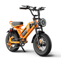 HKM-8874835 Adult Electric Bicycle Featuring 750W Motor, 20 MPH Top Speed, 48V System and 48V 15.0Ah Battery for Daily Commuting