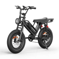 HKM-9432019 Adult Electric Bicycle Powered by 750W Motor, 20 MPH Top Speed, 48V System and 48V 15.0Ah Battery for Daily Commuting
