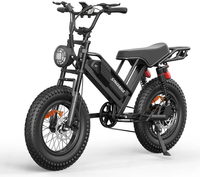 HKM-9432019 Adult Electric Bicycle Powered by 750W Motor, 20 MPH Top Speed, 48V System and 48V 15.0Ah Battery for Daily Commuting