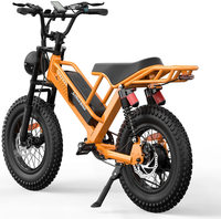 HKM-9432019 Adult Electric Bicycle Powered by 750W Motor, 20 MPH Top Speed, 48V System and 48V 15.0Ah Battery for Daily Commuting