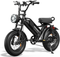 HKM-9432019 Adult Electric Bicycle Powered by 750W Motor, 20 MPH Top Speed, 48V System and 48V 15.0Ah Battery for Daily Commuting