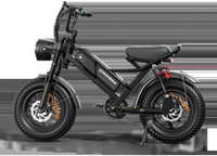 HKM-9432019 Electric Bike 750W Motor 48V 15Ah Battery 37 Mile Range 16-Inch Fat Tires 6-Speed Dual Suspension Disc Brakes