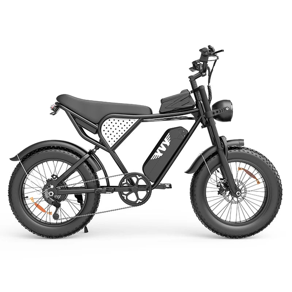 HKM-9497427 Off-Road Fat Tire Dirt Bike 750W 48V 15Ah 31 Mile Range 20-Inch Tires Disc Brakes Full Suspension Dual 7-Speed for