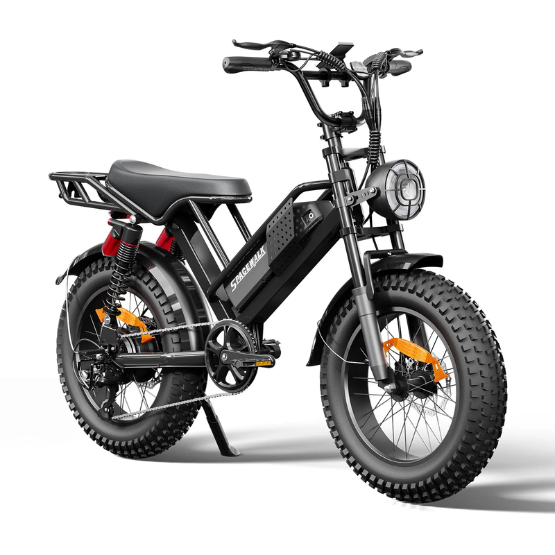 HKM-9595731 Adult: 750W Motor, 20 MPH Top Speed, 48V System and 48V 15.0Ah Battery Electric Bicycle for Daily Commuting