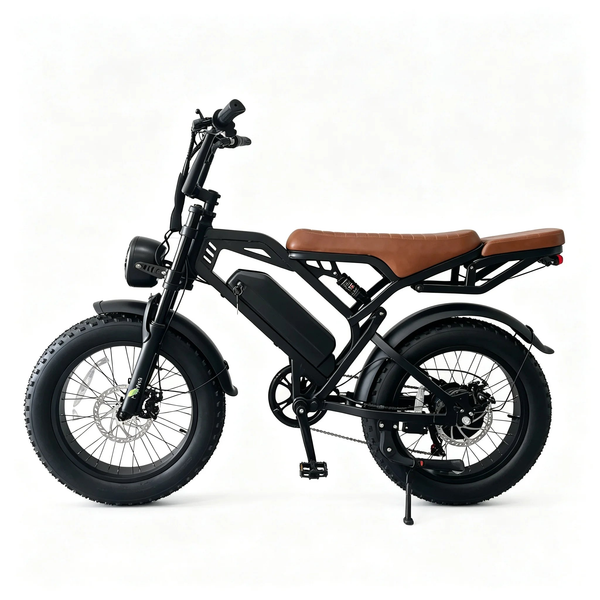 HKM-9628499 750W Motor 48V 18Ah Battery 30 Mile Range 20-Inch Fat Tires Front and Rear Disc Brakes Tire Electric Dirt Bike