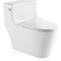 HKM-3230931 Smart Toilet One Piece Glazed Ceramic Floor Mounted Easy Clean Eco Friendly White Bidet Seat With Toilet Bowl